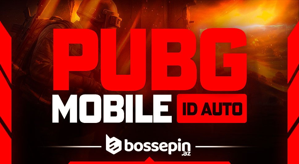 Pubg İd yoxlama
